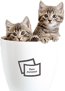 картинка Посуда